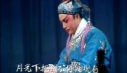 游龟山