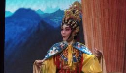 新霸王别姬