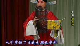 国家京剧院京剧《杨家将》2-2 张建国邓沐玮主演，经典剧目在线下载下载