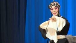 河北梆子《三娘教子》张翠香经典演唱，传统教子故事戏曲资源下载下载