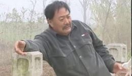 民间小调《李豁子找老婆》全集下载,经典戏曲视频MP4资源,不容错过 民间小调《李豁子找老婆》全集下载,经典戏曲视频MP4资源,不容错过