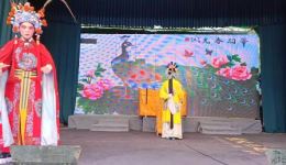 豫剧《陈平打朝》全场戏曲下载mp4 - 范军等主演经典剧目完整资源下载