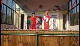 孔雀东南飞