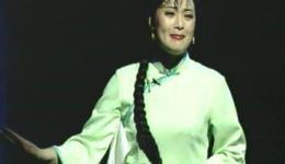 2001年上海市文联艺术团沪剧《雷雨》经典演出，名家齐聚演绎家庭悲剧下载