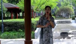 越剧经典《记得那年乔装扮》叶美丽演唱，高清戏曲资源下载，重温梁祝草桥结拜深情下载