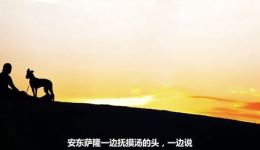 免费《尘埃》广播剧全集下载｜多题材广播剧资源，民国/古风/现代剧情畅听