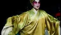 雷剧《乱世情仇》全集资源下载，乱世恩怨题材经典之作在线获取