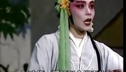 雷剧《屠猪状元》全集下载 - 正版高清戏曲资源一键获取
