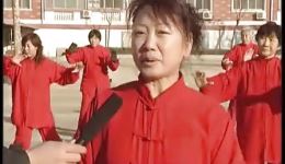 肃宁武术(下)——三百年历史武术戏,明隆庆年间下载 肃宁武术(下)——三百年历史武术戏,明隆庆年间下载
