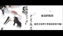 三生三世十里桃花