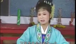 庐剧《蛤蟆招亲》第1集单小侉夏巧云主演，安徽地方戏曲精彩呈现下载