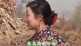 戏妻