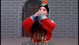 河北梆子《南北合》选段 陈春演唱 经典唱腔在线欣赏 河北梆子《南北合》选段 陈春演唱 经典唱腔在线欣赏