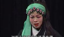 婺剧《狸猫换太子》永康婺剧团演出高清资源下载 经典宫廷大戏全本呈现 婺剧《狸猫换太子》永康婺剧团演出高清资源下载 经典宫廷大戏全本呈现