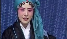 淮北花鼓戏《打蛮船》全集下载 - 国家级非遗戏曲资源在线获取