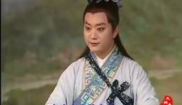 黄梅戏《天仙配》全场视频下载 - 张小萍刘国平主演高清MP4/MP3资源下载