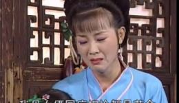 庐剧《三男洞房抢老婆》第四集完整版下载 - 魏晓波汪丽主演经典剧目下载