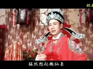 赣南采茶戏《槐仙与负心汉》中集mp4视频下载 - 正版戏曲资源