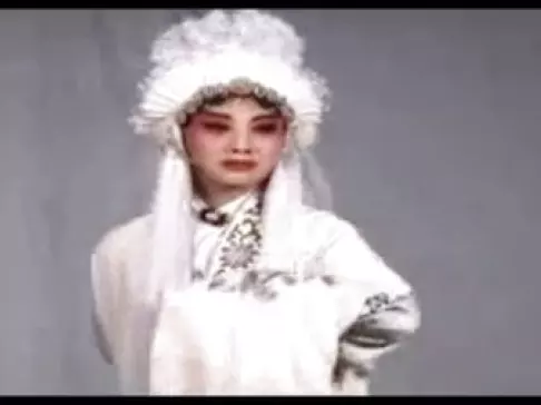 河南曲剧《月英哭坟》梁雅晴演唱，经典戏曲片段在线下载下载