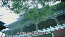 松阳高腔《隐藏于大山的呐喊》——感受大山深处的戏曲呐喊,品味非遗独特韵味 松阳高腔《隐藏于大山的呐喊》——感受大山深处的戏曲呐喊,品味非遗独特韵味