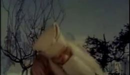 山东梆子电影《墙头记》全集戏曲视频MP4下载 - 经典传统剧目在线观看 山东梆子电影《墙头记》全集戏曲视频MP4下载 - 经典传统剧目在线观看