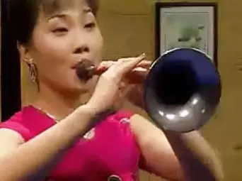 河南曲艺大师侯艳秋唢呐演奏专辑经典唢呐名曲在线畅听，领略传统唢呐艺术风采下载