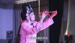 永康醒感戏《毛头花姐》全本资源下载，领略浙江特色戏曲魅力