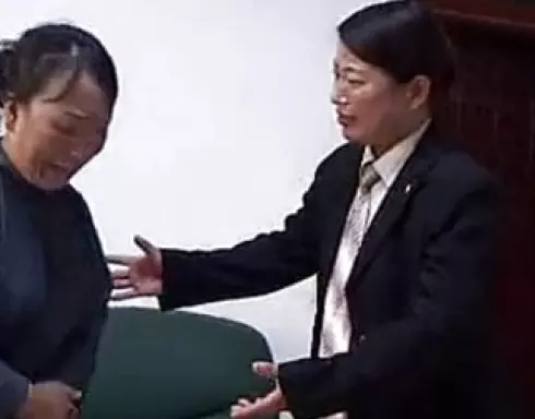 上党鼓书《新喜临门》高清戏曲资源下载 - 下载