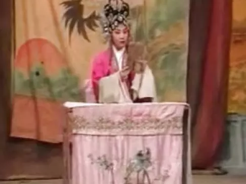 豫剧《花墙奇冤》全场完整版下载 - 李巧凤李保顺主演经典豫剧资源下载