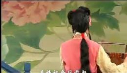 庐剧《狸猫换太子》全场视频下载，经典宫廷大戏mp4/mp3资源免费获取