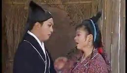 老丈母告女婿