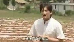 云南山歌剧《疯狂少妇》高清mp4视频下载，毛家超马丽波主演，经典家庭情感山歌大剧下载