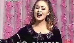 包公赔情