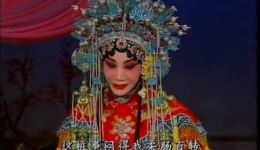 状元媒