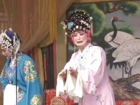 宛梆《开棺斩子》全集下载｜内乡县菊乡宛梆剧团正版资源，非遗经典一键获取