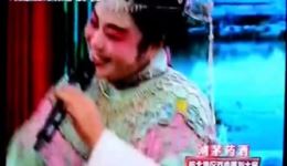 泗洲戏《借表嫂》选段在线观看，杨华倾情演唱，感受地道乡土戏曲韵味