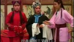 乐腔《打定生》第2集在线观看，经典地方戏曲资源下载