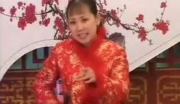 河南坠子《巧嘴倔老婆》胡中华演唱 经典曲艺在线收听下载