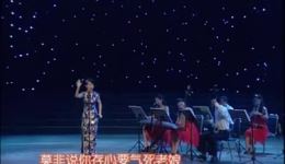 河南坠子《祈黄羊荐贤》张志华演唱，经典曲艺作品在线下载