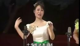河南坠子《司马迁发奋》张志华陈梅生演唱 经典曲艺作品在线下载