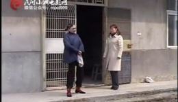 借窝下蛋