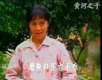 河南曲剧《红柳绿柳》全集下载，经典现代曲剧，李玲君李桂英主演，完整剧情呈现下载