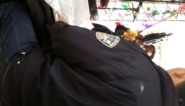 朔县大秧歌下载 - 正宗山西朔州传统戏曲资下载