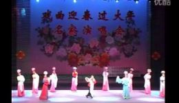 大弦子戏经典《佘赛花》王秀兰演唱,非遗传承人演绎,高清戏曲资源下载 大弦子戏经典《佘赛花》王秀兰演唱,非遗传承人演绎,高清戏曲资源下载