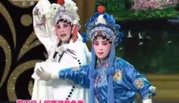 秦腔名师高徒集结赛120资源下载，蒲城县剧团秦腔精品在线观看下载
