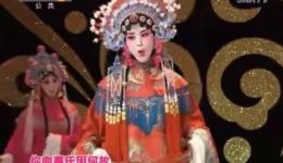 秦之声名师高徒集结赛122蒲城县剧团秦腔盛宴，尽显戏曲传承风采下载