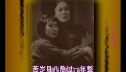 越调经典《苦菜花》申凤梅精彩演绎 受苦刑片段字幕版在线观看