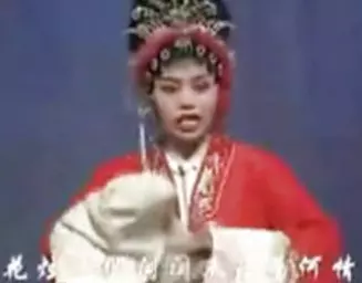 太康道情《白玉楼》全集高清下载 - 王晓灵刘粉霞主演经典戏曲资源