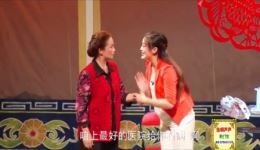 宿州坠子戏《认娘》高清完整版下载 - 经典坠子戏剧情在线看