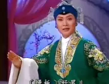 京剧《对花枪》选段，袁慧琴韵味演唱，经典唱段在线畅享